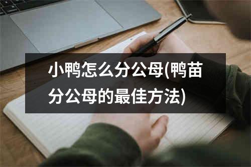 小鸭怎么分公母(鸭苗分公母的最佳方法)