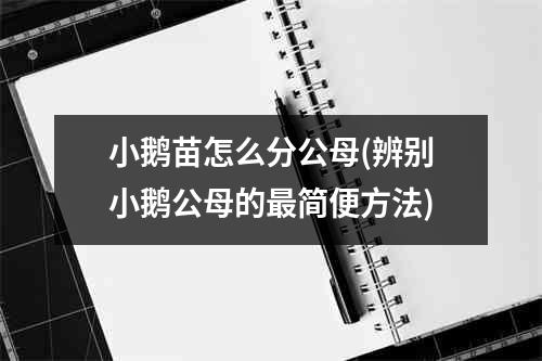 小鹅苗怎么分公母(辨别小鹅公母的最简便方法)