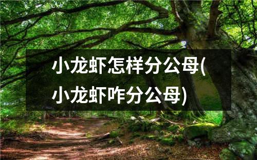 小龙虾怎样分公母(小龙虾咋分公母)