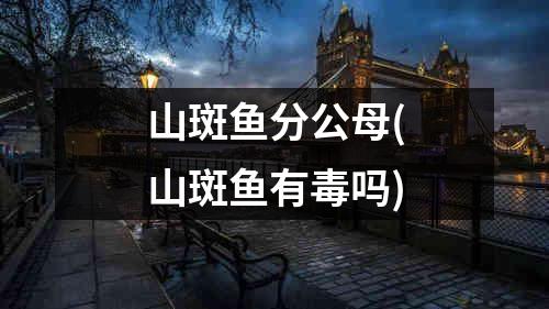 山斑鱼分公母(山斑鱼有毒吗)