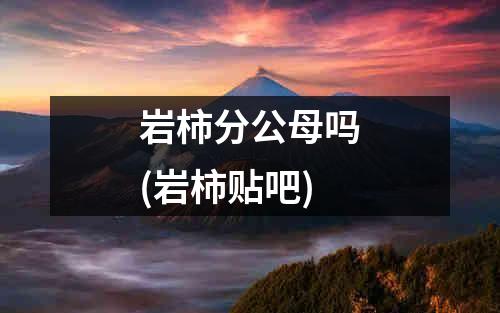 岩柿分公母吗(岩柿贴吧)