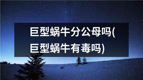 巨型蜗牛分公母吗(巨型蜗牛有毒吗)