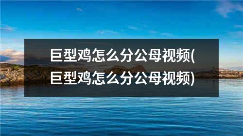 巨型鸡怎么分公母视频(巨型鸡怎么分公母视频)