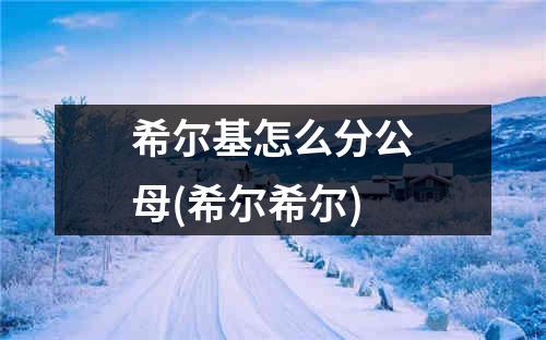 希尔基怎么分公母(希尔希尔)