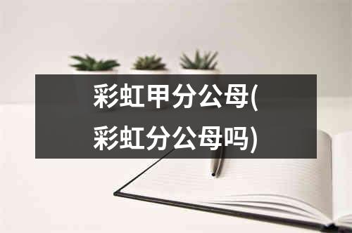 彩虹甲分公母(彩虹分公母吗)