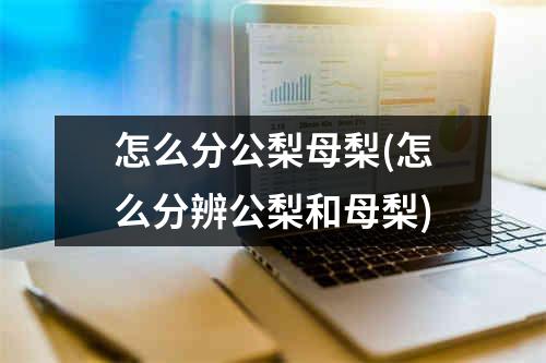 怎么分公梨母梨(怎么分辨公梨和母梨)