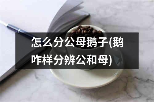 怎么分公母鹅子(鹅咋样分辨公和母)