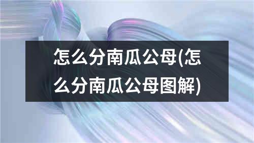 怎么分南瓜公母(怎么分南瓜公母图解)