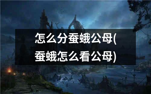 怎么分蚕蛾公母(蚕蛾怎么看公母)