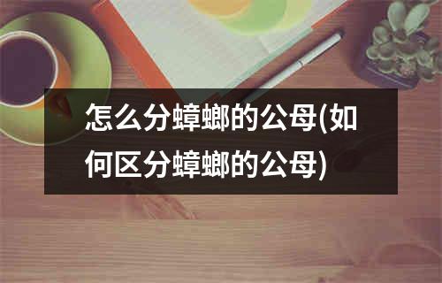 怎么分蟑螂的公母(如何区分蟑螂的公母)