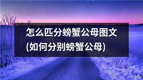 怎么匹分螃蟹公母图文(如何分别螃蟹公母)