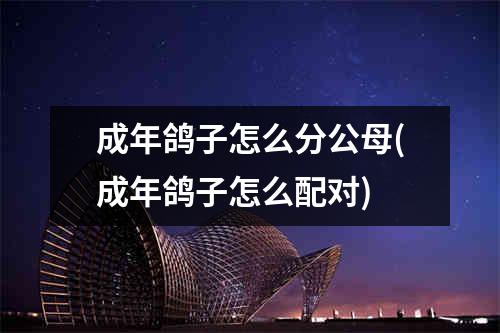 成年鸽子怎么分公母(成年鸽子怎么配对)