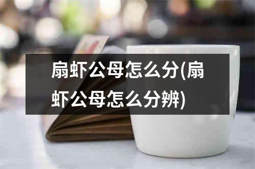 扇虾公母怎么分(扇虾公母怎么分辨)