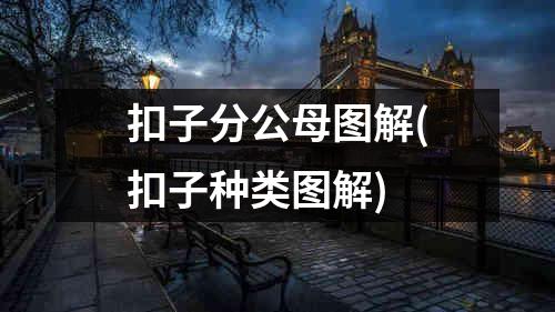 扣子分公母图解(扣子种类图解)