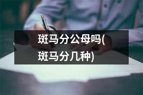 斑马分公母吗(斑马分几种)