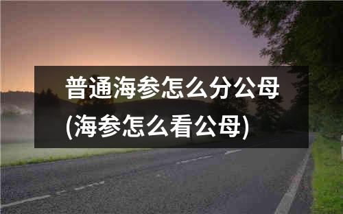 普通海参怎么分公母(海参怎么看公母)