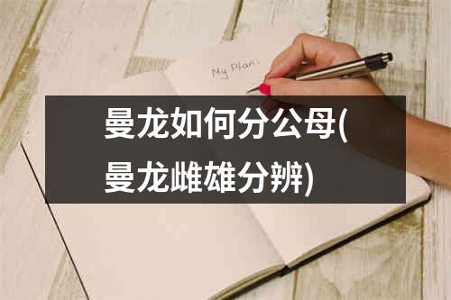 曼龙如何分公母(曼龙雌雄分辨)