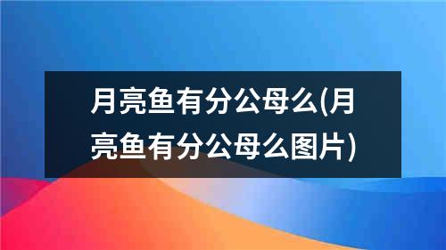 月亮鱼有分公母么(月亮鱼有分公母么图片)