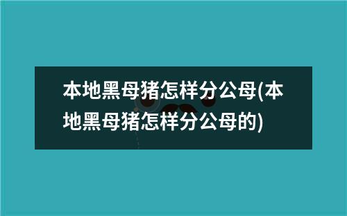 本地黑母猪怎样分公母(本地黑母猪怎样分公母的)