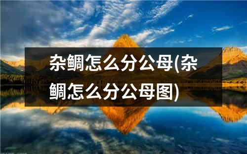 杂鲷怎么分公母(杂鲷怎么分公母图)