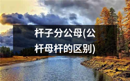 杆子分公母(公杆母杆的区别)