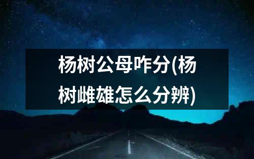 杨树公母咋分(杨树雌雄怎么分辨)