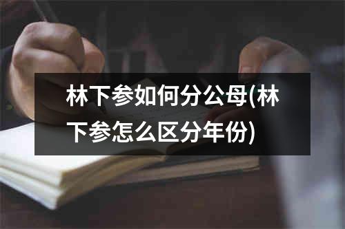 林下参如何分公母(林下参怎么区分年份)