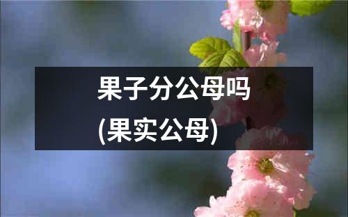 果子分公母吗(果实公母)