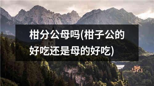 柑分公母吗(柑子公的好吃还是母的好吃)