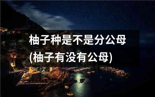 柚子种是不是分公母(柚子有没有公母)