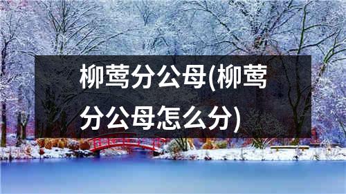 柳莺分公母(柳莺分公母怎么分)