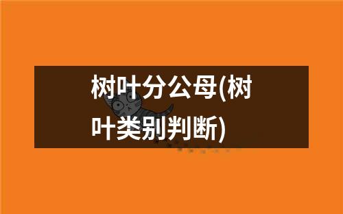 树叶分公母(树叶类别判断)