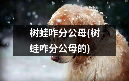 树蛙咋分公母(树蛙咋分公母的)