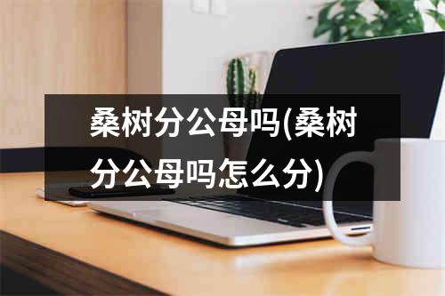 桑树分公母吗(桑树分公母吗怎么分)