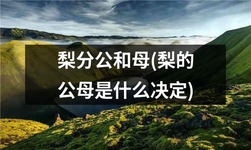 梨分公和母(梨的公母是什么决定)