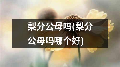 梨分公母吗(梨分公母吗哪个好)