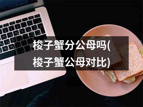 梭子蟹分公母吗(梭子蟹公母对比)