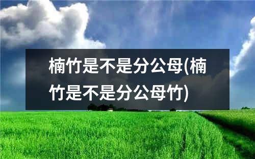 楠竹是不是分公母(楠竹是不是分公母竹)