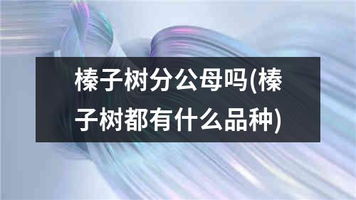 榛子树分公母吗(榛子树都有什么品种)