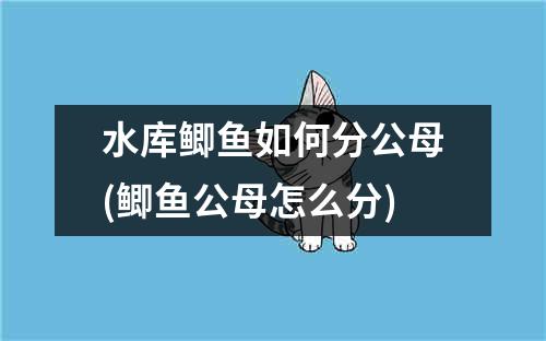 水库鲫鱼如何分公母(鲫鱼公母怎么分)