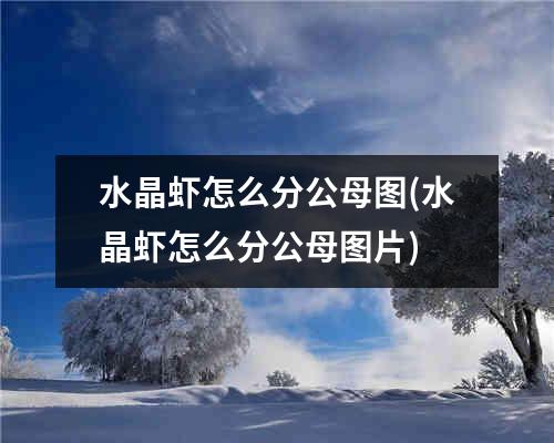 水晶虾怎么分公母图(水晶虾怎么分公母图片)