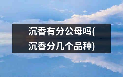 沉香有分公母吗(沉香分几个品种)