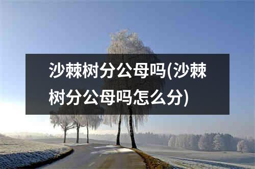 沙棘树分公母吗(沙棘树分公母吗怎么分)