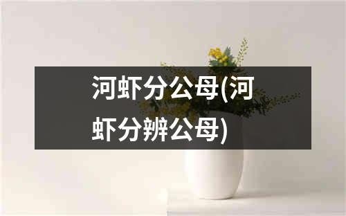 河虾分公母(河虾分辨公母)