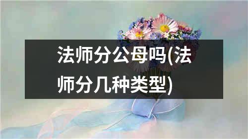 法师分公母吗(法师分几种类型)