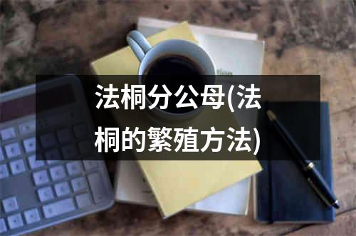 法桐分公母(法桐的繁殖方法)