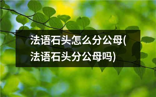 法语石头怎么分公母(法语石头分公母吗)