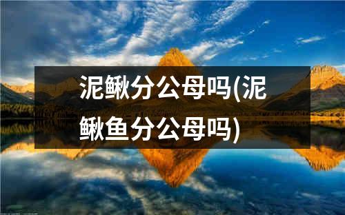 泥鳅分公母吗(泥鳅鱼分公母吗)