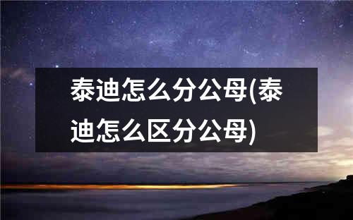 泰迪怎么分公母(泰迪怎么区分公母)