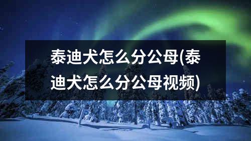 泰迪犬怎么分公母(泰迪犬怎么分公母视频)